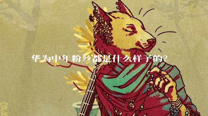 华为中年粉丝都是什么样子的？