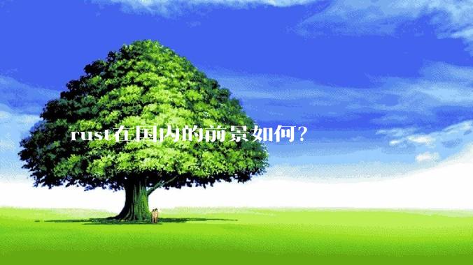 rust在国内的前景如何？