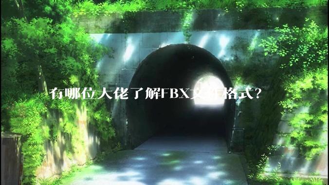 有哪位大佬了解FBX文件格式？