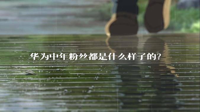 华为中年粉丝都是什么样子的？