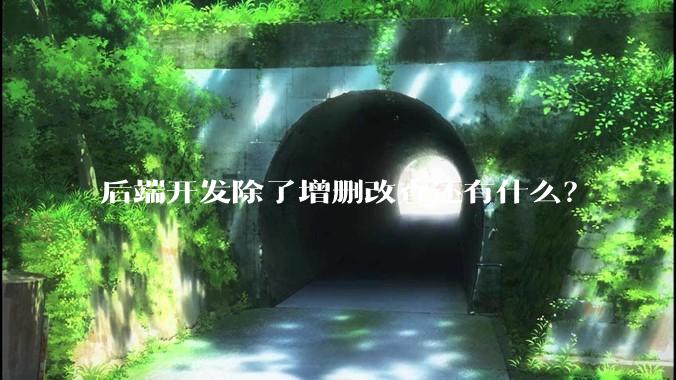 后端开发除了增删改查还有什么？