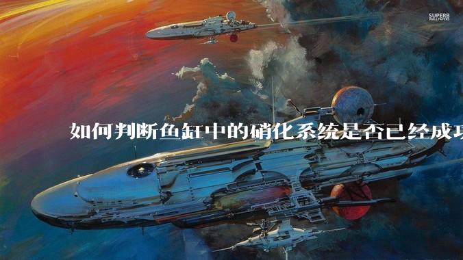 如何判断鱼缸中的硝化系统是否已经成功建立？