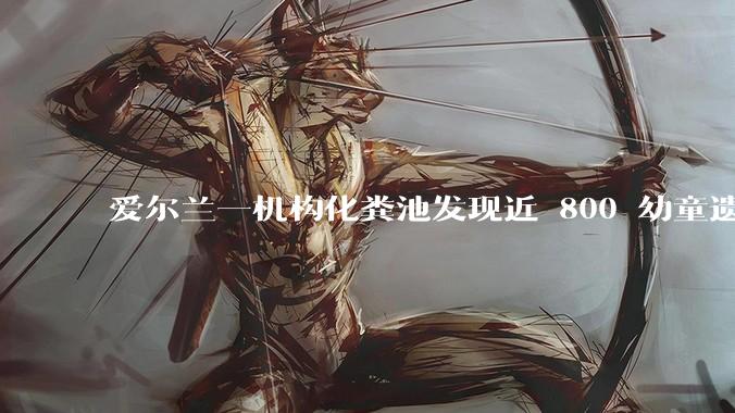 爱尔兰一机构化粪池发现近 800 幼童遗骨，具体是怎么回事？