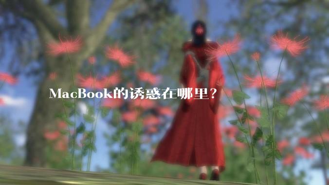 MacBook的诱惑在哪里？