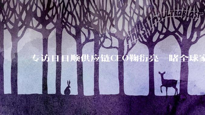 专访日日顺供应链CEO鞠衍亮一睹全球家电物流新方向