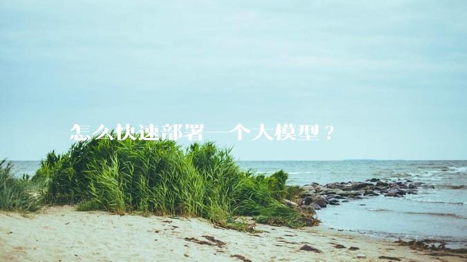 怎么快速部署一个大模型?