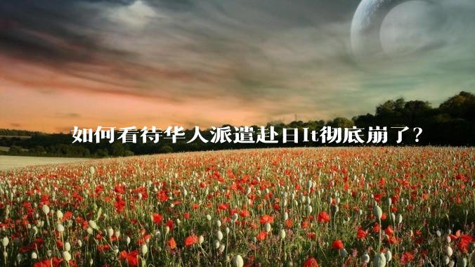 如何看待华人派遣赴日it彻底崩了？