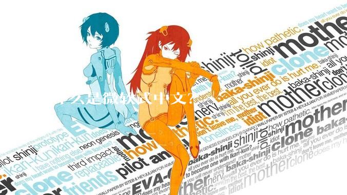 什么是微软式中文？