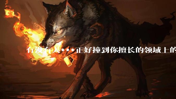 有没有人***正好撞到你擅长的领域上的？