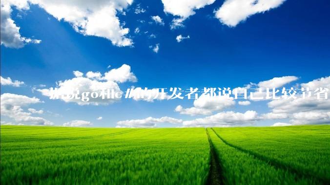 据说go和c#的开发者都说自己比较节省内存，你们认为呢？