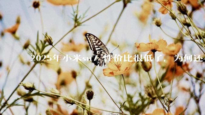 2025年小米su7 性价比很低了，为何还不更新改款？